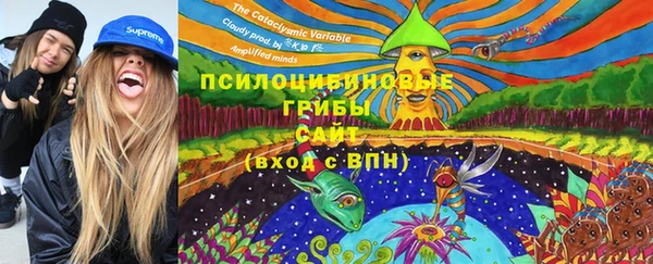 трава Алзамай
