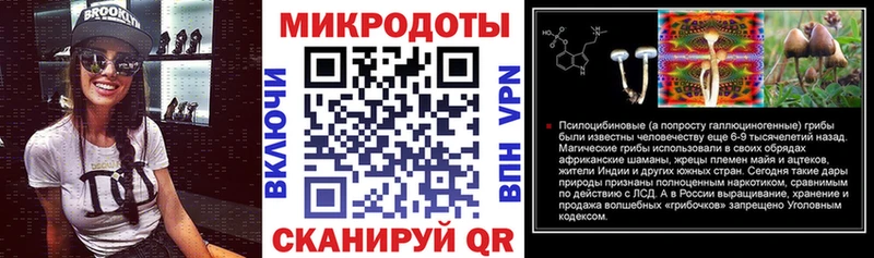 Псилоцибиновые грибы Psilocybe  Сясьстрой 